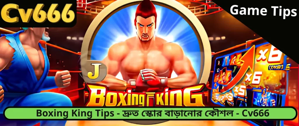 Boxing King Tips CV666