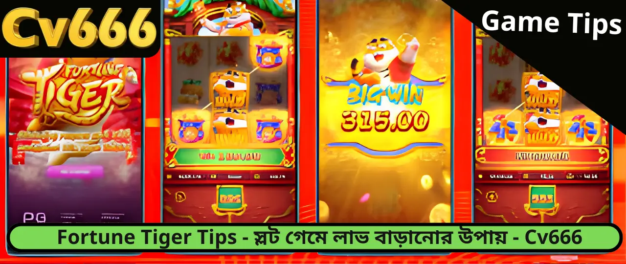 Fortune Tiger Tips CV666