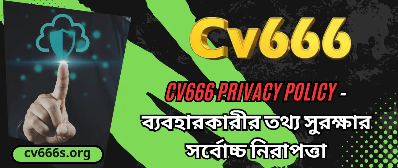 Privacy Policy CV666