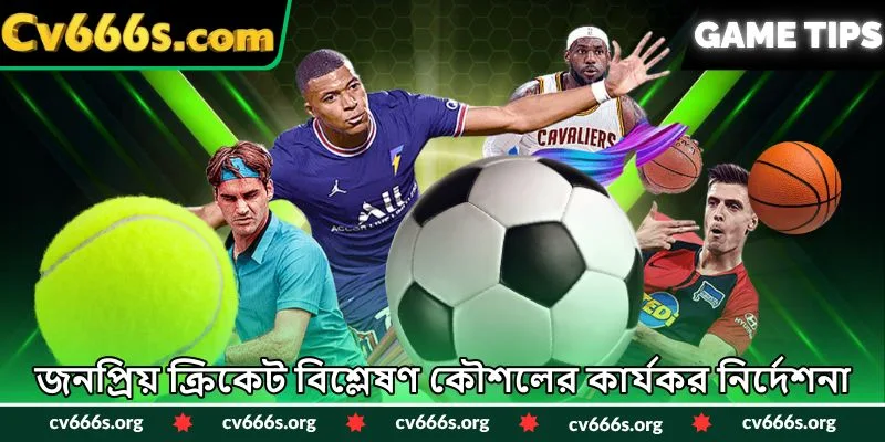 জনপ্রিয় ক্রিকেট বিশ্লেষণ কৌশলের কার্যকর নির্দেশনা