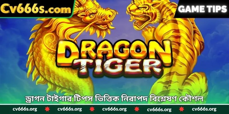 ড্রাগন টাইগার টিপস ভিত্তিক নিরাপদ বিশ্লেষণ কৌশল