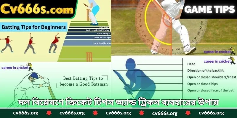 দল বিশ্লেষণে ক্রিকেট টিপস অ্যান্ড ট্রিকস ব্যবহারের উপায়