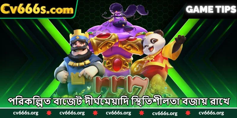 পরিকল্পিত বাজেট দীর্ঘমেয়াদি স্থিতিশীলতা বজায় রাখে