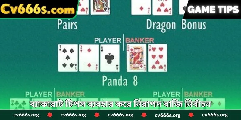 ব্যাকারাট টিপস ব্যবহার করে নিরাপদ বাজি নির্বাচন