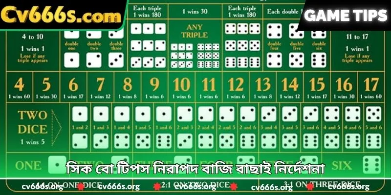 সিক বো টিপস নিরাপদ বাজি বাছাই নির্দেশনা