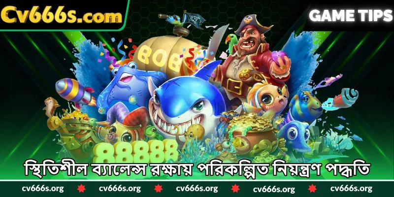 স্থিতিশীল ব্যালেন্স রক্ষায় পরিকল্পিত নিয়ন্ত্রণ পদ্ধতি